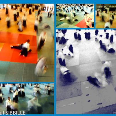 Expo Jean Paul Sibbille
