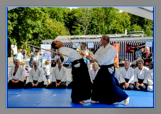 demo AIkido-5845-Modifier