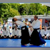 demo AIkido-5845-Modifier