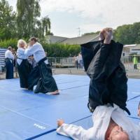 démoAïkiclub 2014-8410