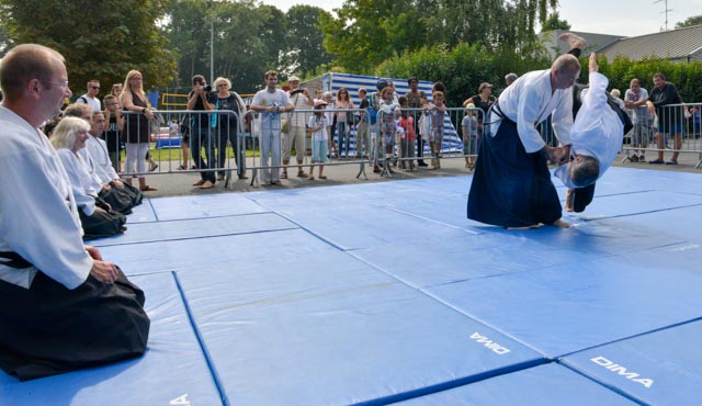 démoAïkiclub 2014-8420