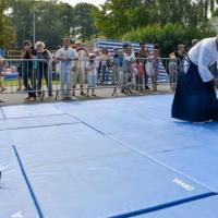 démoAïkiclub 2014-8420