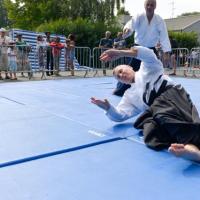 démoAïkiclub 2014-8441