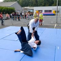 démoAïkiclub 2014-8459