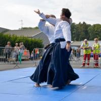 démoAïkiclub 2014-8495